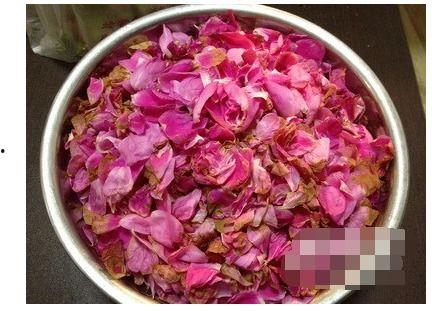 娱乐吃瓜酱玫瑰花